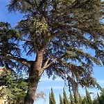 Domaine Les Castans Saint-Thibéry