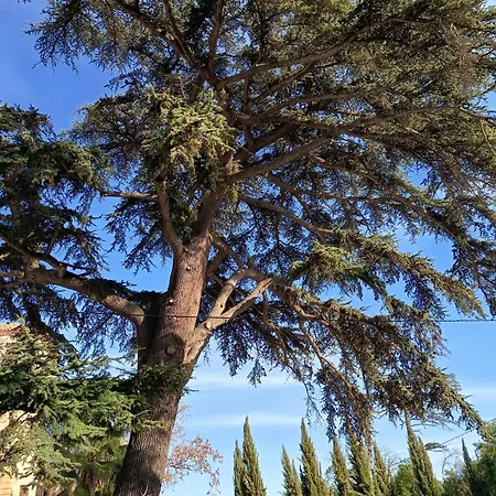 Domaine Les Castans Saint-Thibéry